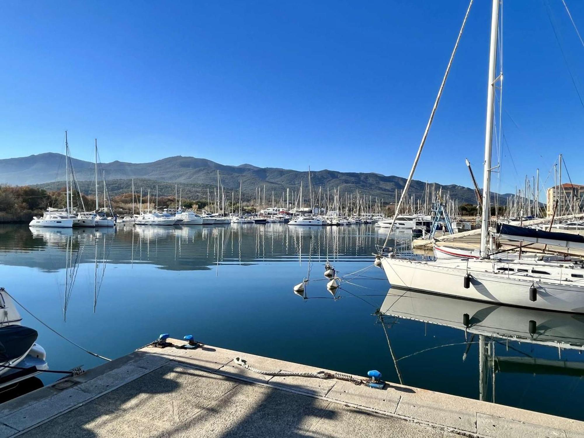 Appartement 3 Pieces Avec Terrasse Et Jardin, Proche Plage Et Commerces, 2 Parkings, Argeles-Sur-Mer - Fr-1-225-773 Zewnętrze zdjęcie